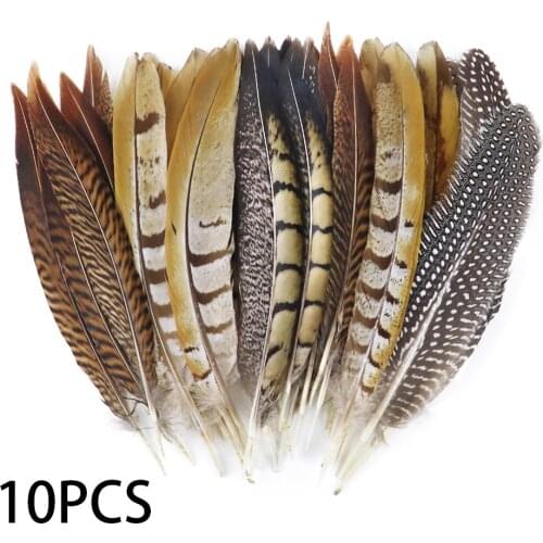 Multiple Style Natural Pheasant Chicken Feathers DIY Stage Performance Decoration Carnival Jewelry Accessories Plumes For Crafts