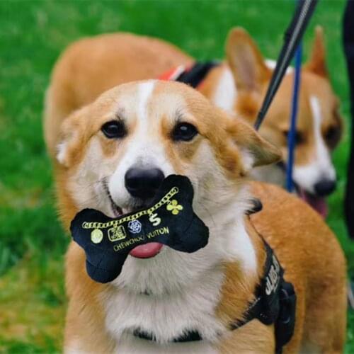 Cute Emboridery Logo Luxury Plush Bone Toys For Dog Chewing Dog Bone Soft Toys Plush Dog Bone Toys