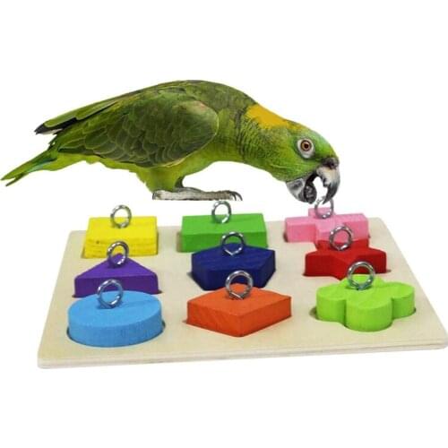 Bird Intelligence Training Toy Parrot Educational Toys Parrot Wooden Block Puzzle Toy for Small and Medium Parrots and Birds