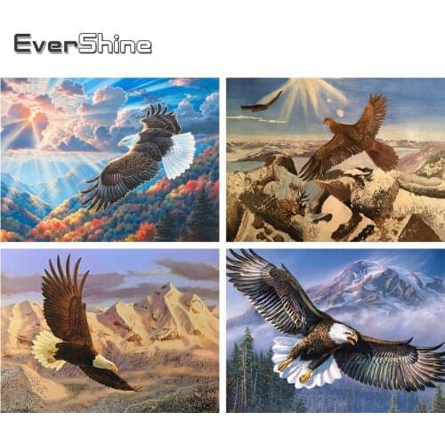 Evershine 5D Diamond Embroidery Animals Eagle Full Drill Square Diamond Painting Cross Stitch Diamond Mosaic Set Home Decoration