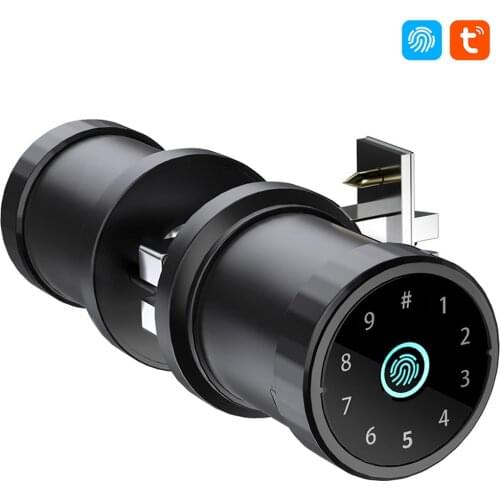 Home Bluetooth Tuya App Control Biometric Identification Control Fingerprint Smart Lock Wood Door Lock Smart Card Password Key