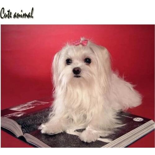 3d round square diamond embroidery Cute animal maltese dog Diy full diamond painting stitch cross mosaic pictures of rhinestones