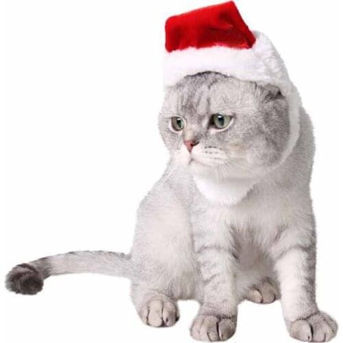 50Pcs/lot Pet Cat Dog Xmas Hat Xmas New Year Plush Cap Party Home Decorations Dog Caps Pet Supplies