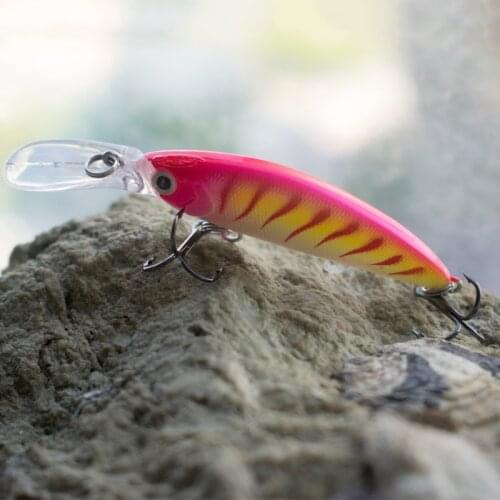 EARTHCORE Fishing Lure For Carp