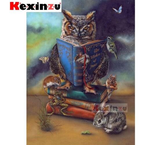 Full 5d Square/Round Diamond Painting-Reading Owl-3d Diamond Embroidery kit Cross Stitch Mosaic Full Picture Rhinestone Decor Y1