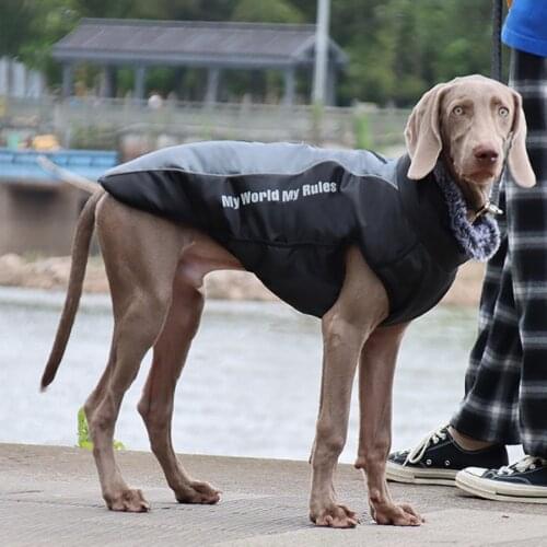 High Collar Pet Dog Clothes For Medium Large Dogs Weimaraner Labrador Waterproof Winter Warm Newest Winter Big Dog Clothes