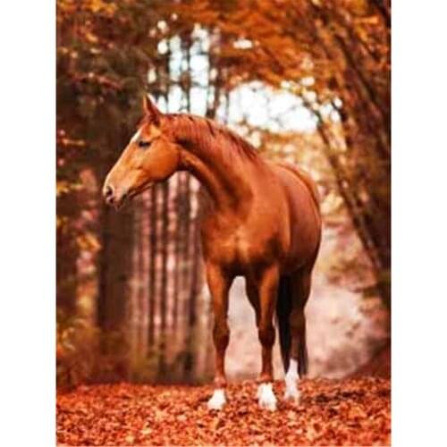 Animal Horse Printed Fabric 11CT Cross-Stitch DIY Embroidery Patterns DMC Threads Craft Needlework Painting Sewing Wholesale