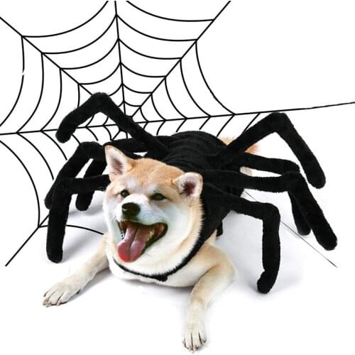Halloween Spider Clothes For Pet Dog Cat Spider Costumes Dressing Up Pet Clothes Party Pet Halloween Props Accessories