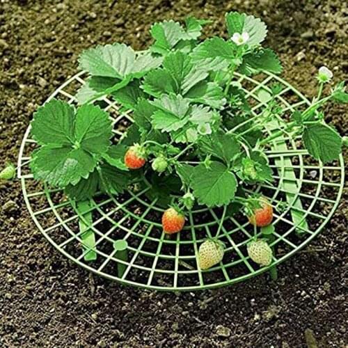 5 Pack Strawberry Growing Racks Strawberry Planting Stand Plant Climbing Stand Balcony Potted Vegetable Gardening Stand