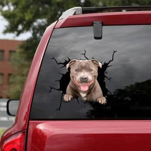 Funny Car Stickers Electrostatic Decorative Glass Window Decal Sticker Adhesive Simulation Animal Ornament Wall Stickers