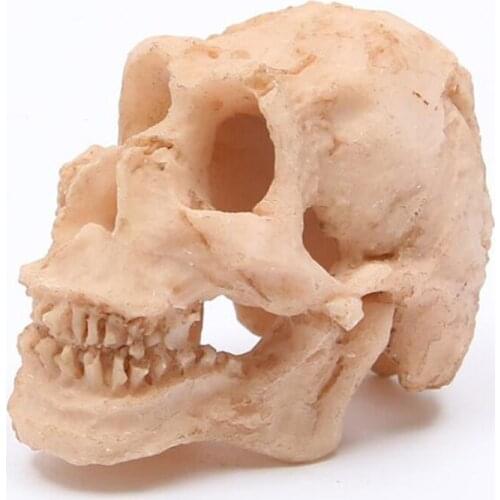 20pcs/lot 1.8 inch Resin Skull Head Small craftmanship Terrifying Skeleton Ornament Halloween Prank Props