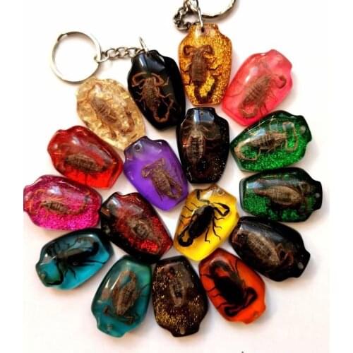 YQTDMY 12 pcs vase design fashion real scorpion keychain Insect Specimen keychain Crafts
