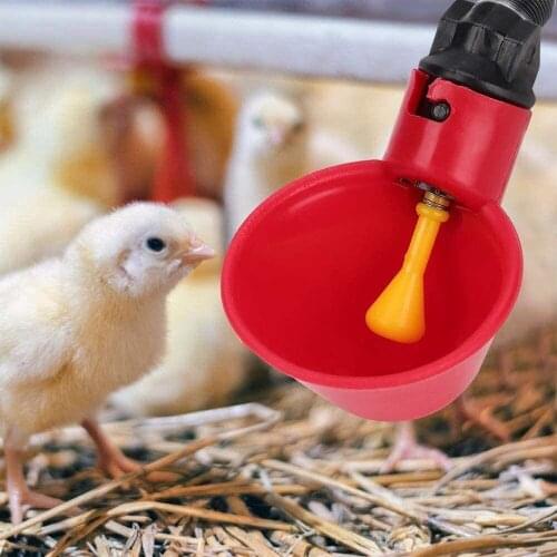 Automatic Chicken Drinker Cups 5/10Pcs Plastic Poultry Drinker Waterer Water Drinker