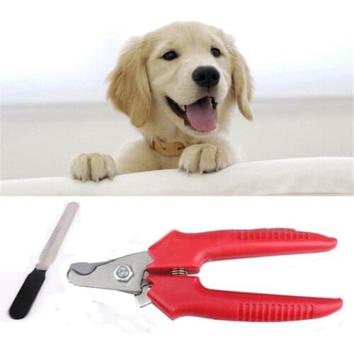 1set Pet Dog Cat Pet Nail Toe Claw Clippers Cutter Scissors Stainless Steel Trimmer Groomer Cutter Pet Grooming Nail Care Tool