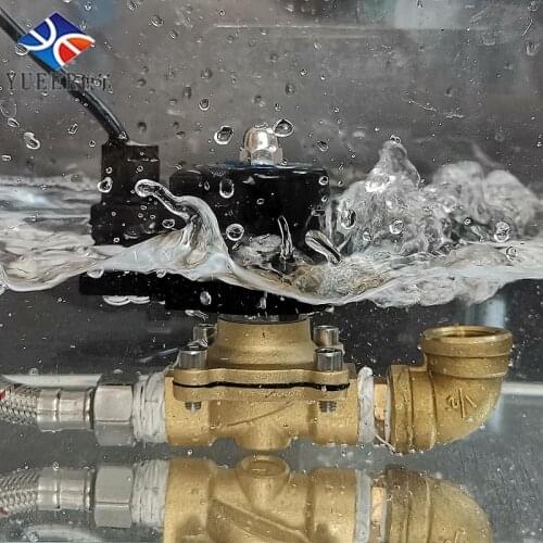Brass Waterproof Solenoid Underwater 24V DC Normally Closed Female Thread Valves for Fountain