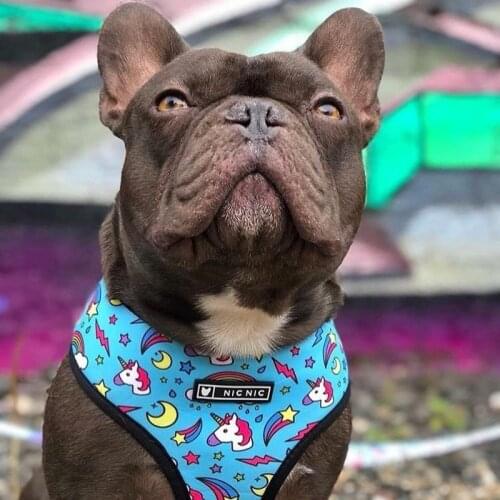 Mesh Breathable Dog Harness Leash Set Cute Print Dog Vest Strap French Bulldog Walking Outdoor Arnes Accesorios Para Perros