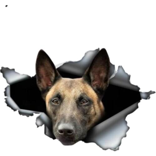 Dawasaru Belgian Malinois Torn Metal Car Sticker Waterproof Decal Laptop Windows Truck Motorcycle Auto Accessories PVC,13cm*8cm