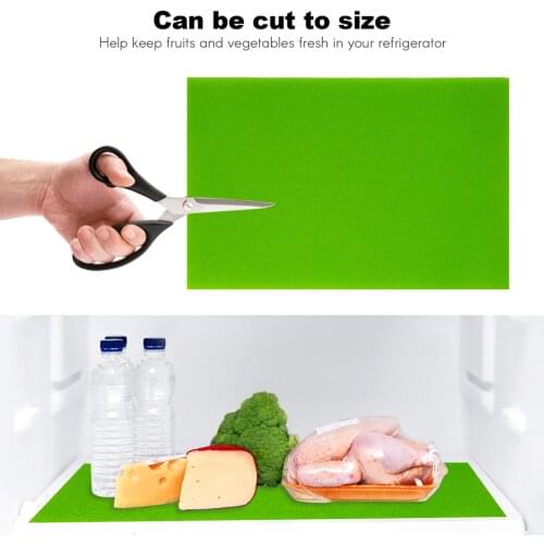 4PCS Filter Sponges for Refrigerator Drawers Mould-proof Fruit Vegetable Liner Green