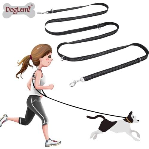 Multifunctional Dog Training Leash 3 Meters Nylon Double Leash Hands Free Pet Lead with Padded Handles