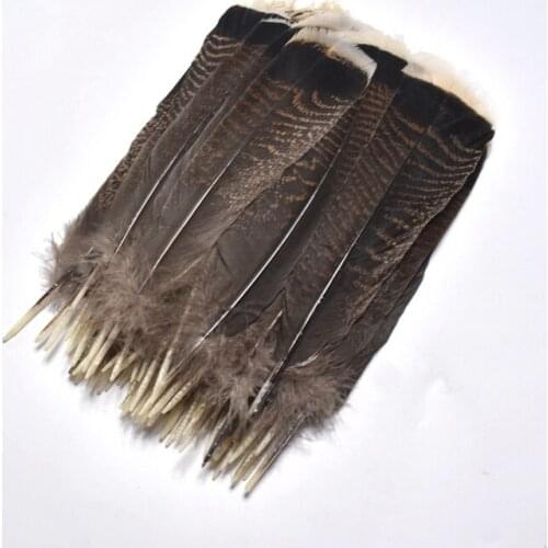 Wholesale pieces of high quality natural eagle feathers 25-30cm/10-12 inches featured excellent DIY Jewelry Headwear decoration