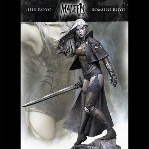 1/28 Scale Model Resin Kit Female Swordsman LUZ Assembly Models Figure Resin Kit Model Colorless Self-Assembled Toy