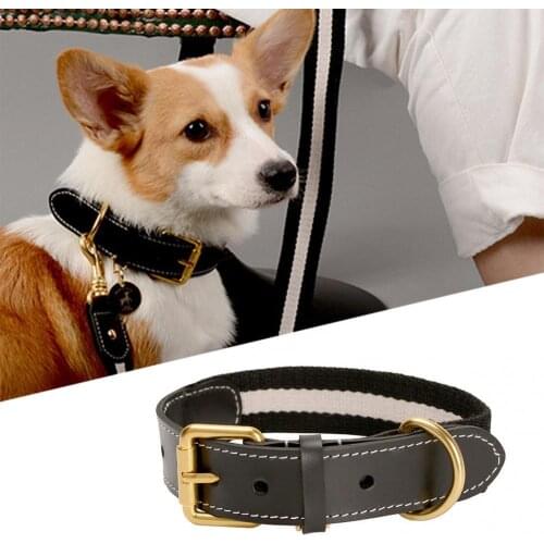Wear-resistant Faux Leather Adjustable Cat Dog Collar Neck Strap Traction Supply Black Gray Fashion Classic Collar Anti-lost