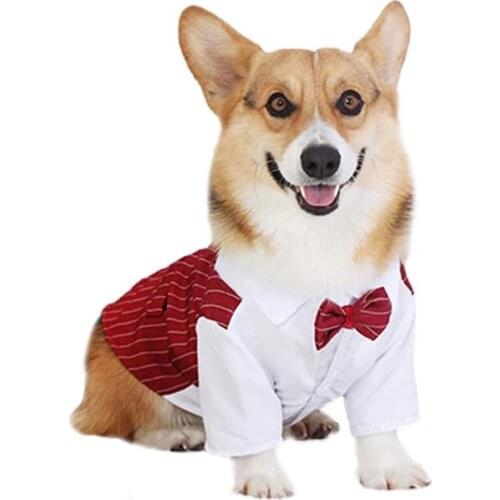 Gentleman Pet Wedding Clothes Bowtie Formal Dog Coat Jacket Dog Wedding Party Costume For Small Dogs Pet Clothing Ropa Perro #1