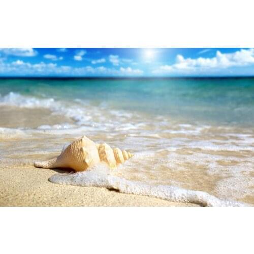 Shell on Beach Art Film Print Silk Poster Home Wall Decor 24x36inch