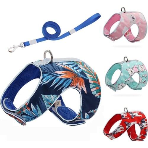 Printed Cat Harness And Leash Set Cute Cat Harness Escape Proof Cat Vest Harness Breathable Mesh Adjustable Cat Harness Leash
