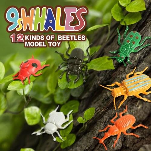Realistic Insects Beetle Animal Action Figures Model Educational Fidget Toy PVC Scene Design Simulation figurine Decoration Gift