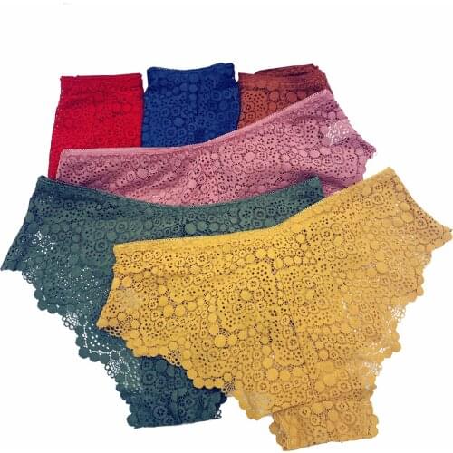 Sexy Women Lace Panties Underwear Lace Briefs Plus Size Transparent Soft Underpants Lingerie