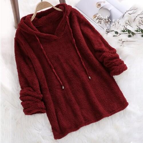 Autumn Winter Long Sleeve Plush Hoodies Women Blue Pink White Fluffy Hoodies Flannel Pullover Pajama Loose Hoodie Tops Plus Size