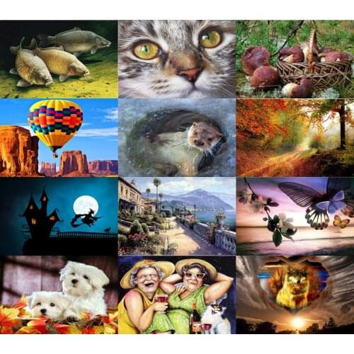 5d full square Cat, dog, fish wolf scenery 5d diamond embroidery diy diamond painting cross stitch diamond sets home decorative