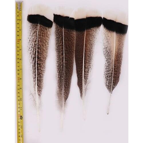 Wholesale Beautiful Turkey Feathers 10-12 inch / 25-30CM Home Celebration for Christmas Wedding Plumes