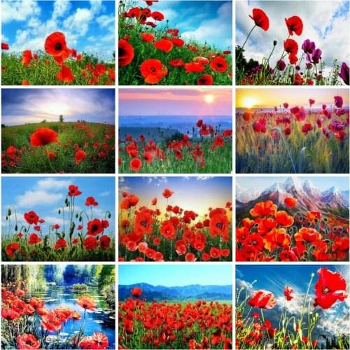 AZQSD Painting By Numbers Poppy Flower Pictures Oil Painting By Numbers Home Decor Arcylic Oil Painting Hand Paint Kit Canvas