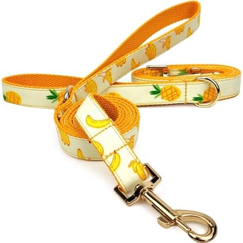 Nylon Dogs and Pet French Bulldog Accessories Puppy Pineapple Banana Pattern Pomeranian Medium Dog Leash Straps Dog Leash Rope