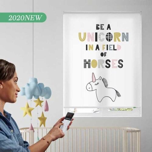 2020 New Electric Cartoon Series Print Roller Shades for Boys Room Motorized Roller Blinds Google Alexa Compatible via Broadlink