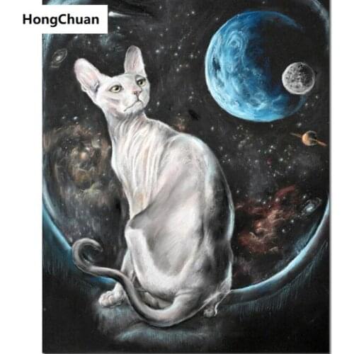 5D DIY full square round diamond painting hairless cat figure diamond mosaic crafts diamond embroidery rhinestonedecoration gift