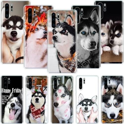 Siberian Husky Dog Phone Case For Huawei Honor 10 9 20 9X 8A 8X 8S 7A 7X Lite Pro 10i 20i Y5 Y6 Y7 Y9 2019 Cover Coque