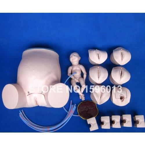Comprehensive Childbirth Training Simulator Midwifery Nursing Pregnant Woman and Baby Delivery Model