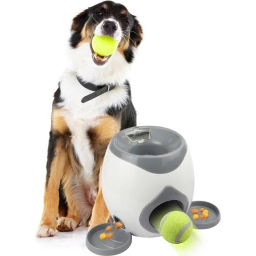 Pet Dog Toy Pet Ball Launcher Toy Tennis Reward Machine Toy IQ Training For Dogs Elastic Tennis Ball Dog Training Slow Feeder