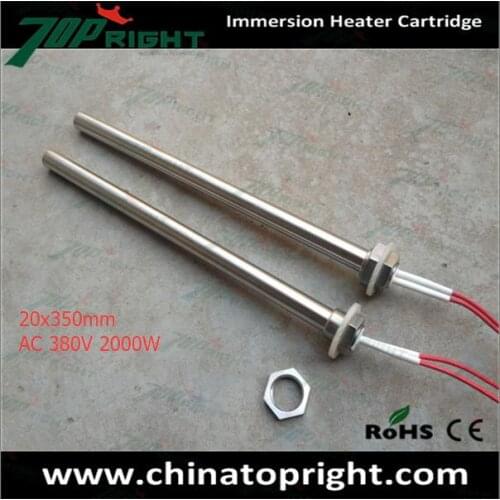 High Density Immersion Electric Flange 20mm Cartridge Heater with Nut 380V/2000W Mold Heating Single end
