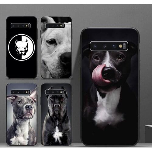 Pit Bull Lovely Pet Dog Pitbull Phone Case For Samsung galaxy S 8 9 10 20 21 30 A 30 50 51 70 note 10 plus Ultra 5g