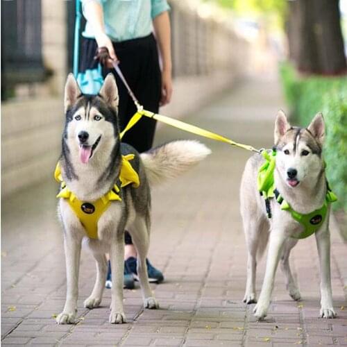 Pet Chest Strap Double Head Traction Rope Nylon Wear-resistant Breathable Vest Large Medium And Small Dogs Dog Leash For Two