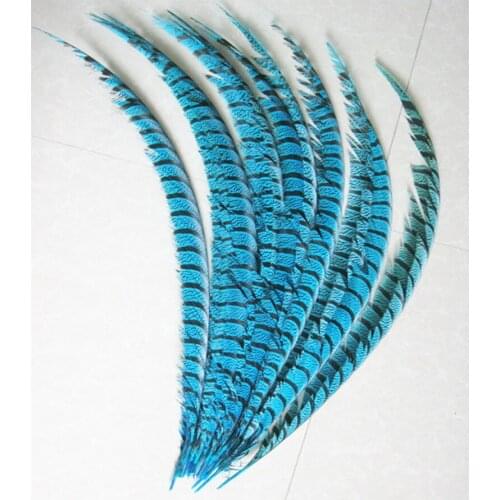 NEW 10PCS Lady Amherst Pheasant Lake blue 30-36 inches /80-90cm feathers, drama performances