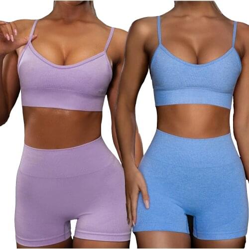 Seamless 2 Piece Women Yoga Set Gym Clothing Fitness Leggings+Cropped Bra Sport Suit Women Tummy Control Tracksuit Active Wear