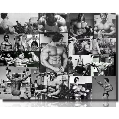 Arnold Schwarzenegger conquers bodybuilding art film print canvas poster home wall decoration