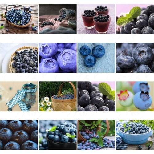 5D Diamond Painting Blueberry Jewelry Cross Stitch Diy Home Decoration Modern Fresh Fruit Diamond Embroidery Painting By Numbers