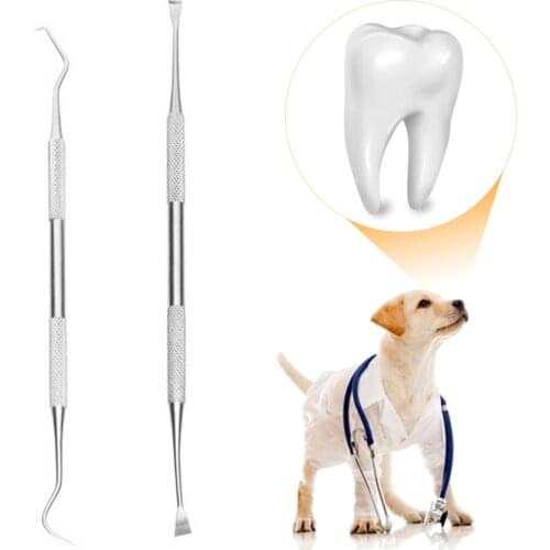 Pet Dog Tooth Oral Hygiene Health Care Clean Tool Double-head Stainless Steel Tooth Scaler And Scraper Tartar Calculus Remover