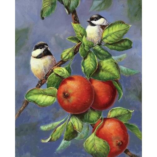 JMINE Div 5D Apple Bird Full Diamond Painting cross stitch kits art High Quality Animal 3D paint by diamonds
